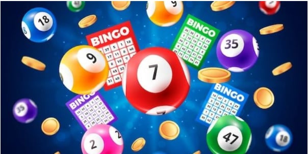 Cách Nuôi Lô Hiệu Quả 2