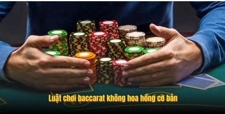 bacarat không hoa hồng