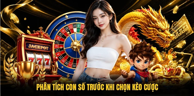 phân tích con số